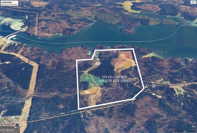 Welcome to Old Savannah, a rare and expansive 275.35-acre - photo 2