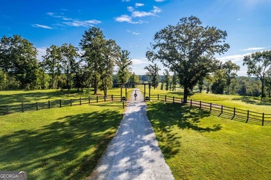Welcome to Old Savannah, a rare and expansive 275.35-acre - photo 3
