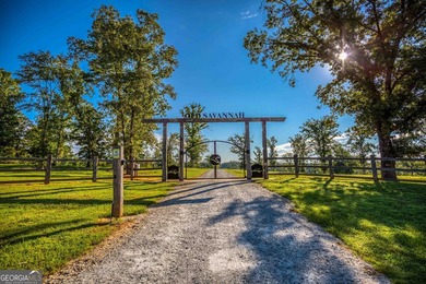Welcome to Old Savannah, a rare and expansive 275.35-acre - photo 4