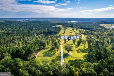 Welcome to Old Savannah, a rare and expansive 275.35-acre - photo 5