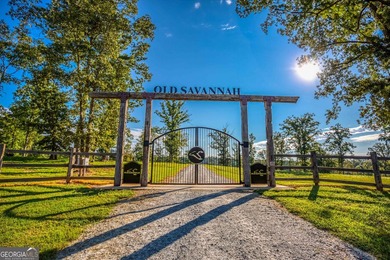 Welcome to Old Savannah, a rare and expansive 275.35-acre - photo 6