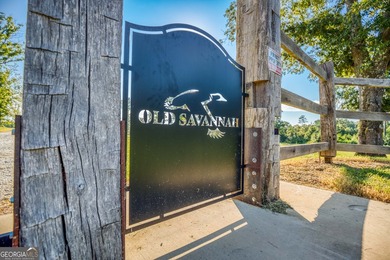 Welcome to Old Savannah, a rare and expansive 275.35-acre - photo 7