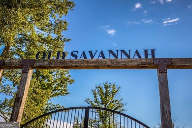 Welcome to Old Savannah, a rare and expansive 275.35-acre - photo 8
