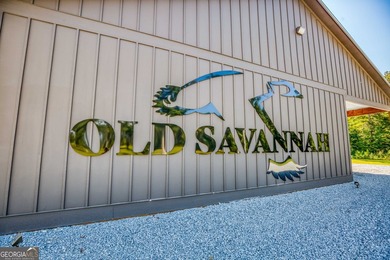 Welcome to Old Savannah, a rare and expansive 275.35-acre - photo 9
