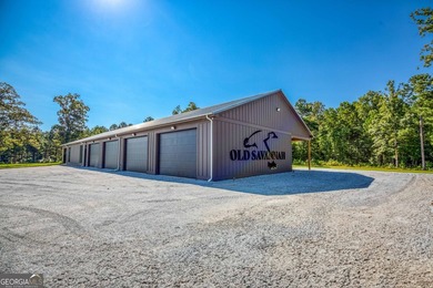 Welcome to Old Savannah, a rare and expansive 275.35-acre - photo 10
