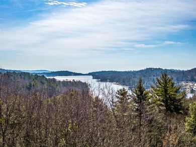 This exceptional corner lot in Lake Toxaway, NC, presents an - photo 11