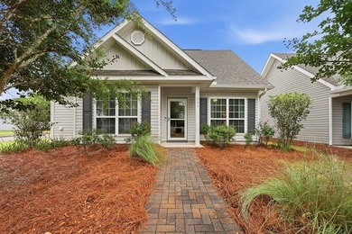 Brand New Roof & Located in the heart of Schooner Landing at - photo 1