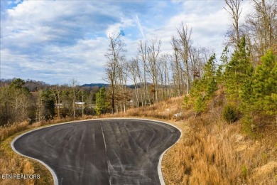Lake Acreage For Sale in Loudon, Tennessee