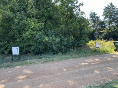 Lake Lot For Sale in Gordonville, Texas