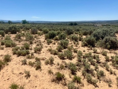 El Vado Lake Acreage For Sale in Tierra Amarilla New Mexico