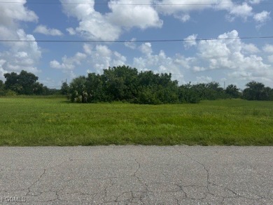 Build your dream home on this prime NE Cape Coral lot with - photo 3