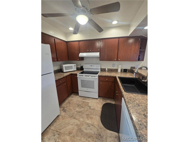 Fully-renovated townhome - your private oasis, located on the - photo 16