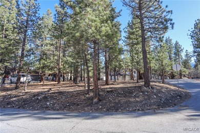 Baldwin Lake Lot For Sale in Big Bear City California