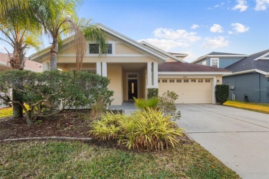 Lake Home For Sale in Land O Lakes, Florida