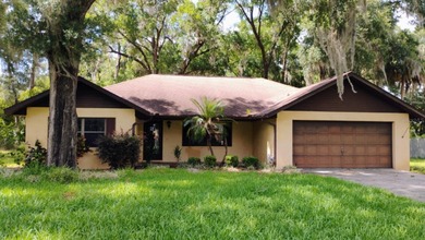 Tsala Apopka Chain of Lakes Home Sale Pending in Inverness Florida