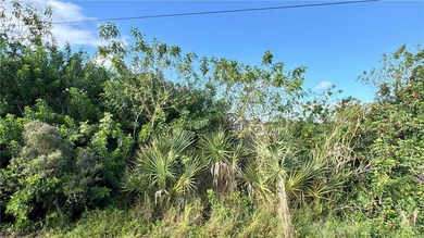 Lehigh Acres Area Lot For Sale in Lehigh Acres Florida