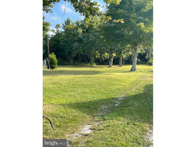 *NEW PRICE* Unlock the full potential of this rare vacant lot - photo 3