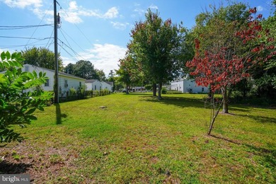 *NEW PRICE* Unlock the full potential of this rare vacant lot - photo 8