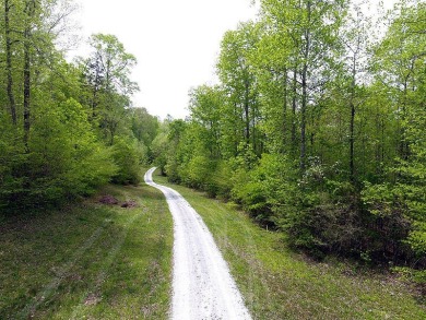 1.06 Acre Lake View Lake Cumberland Building Lot w Close Ramp - photo 2
