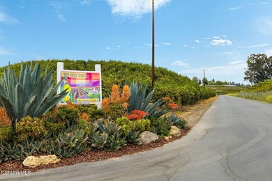 Lemon Ridge Ranch, A Truly Exceptional Offering In The Heart Of - photo 2