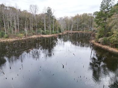 (private lake, pond, coastal) Acreage For Sale in Hamlet North Carolina