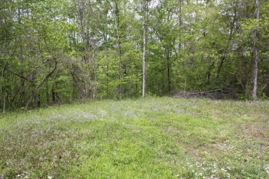 .66 Acre Lake View Lake Cumberland Building Lot w Close Ramp - photo 7