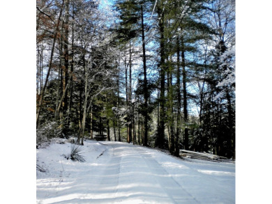 .54 Acre Lake View Lake Cumberland Building Lot w Close Ramp - photo 10