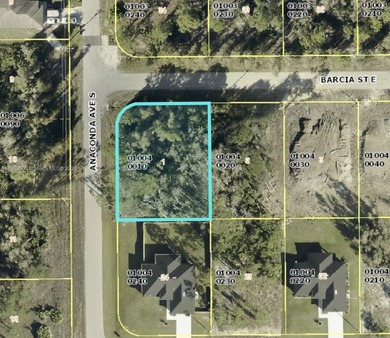 Lehigh Acres Area Lot For Sale in Lehigh Acres Florida
