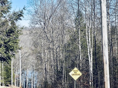 NEW DOUBLEWIDE WITH SEASONAL LAKE VIEW WOOD CREEK LAKE - photo 2