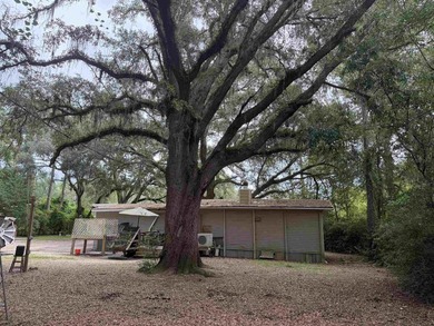 Unique investment opportunity on nearly an acre! Whether you're - photo 6