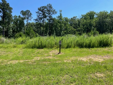 Hardy Lake Lot Sale Pending in Evans Georgia