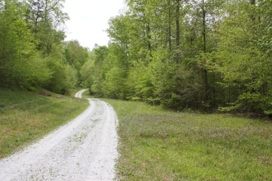 .73 Acre Lake View Lake Cumberland Building Lot w Close Ramp - photo 9