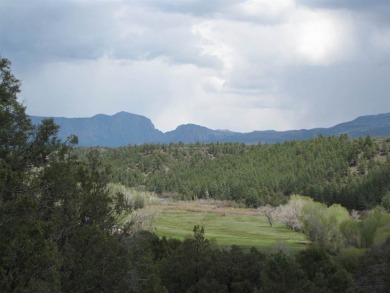  Acreage For Sale in Rutheron New Mexico