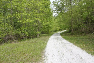 .67 Acre Lake View Lake Cumberland Building Lot w Close Ramp - photo 8