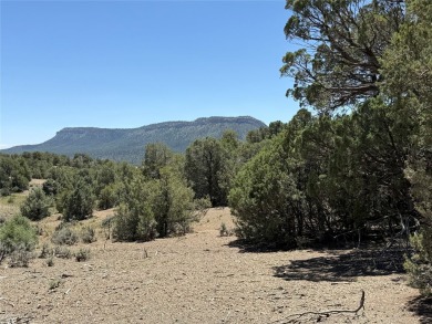 El Vado Lake Lot For Sale in Los Ojos New Mexico