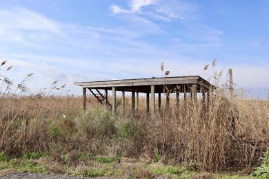 (private lake, pond, coastal) Commercial For Sale in Montegut Louisiana