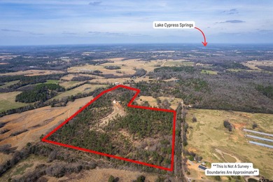 (private lake, pond, coastal) Acreage For Sale in Scroggins Texas