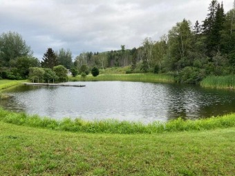 Fish River Acreage For Sale in Fort Kent Maine