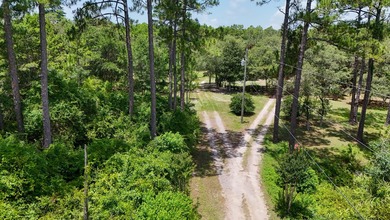 High and dry with established beautiful oak trees. No wetlands - photo 16