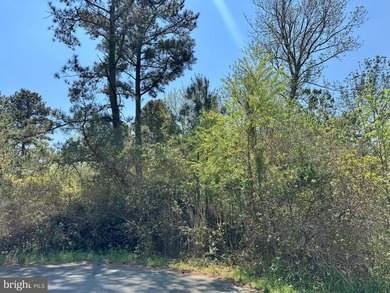 Rare opportunity to own two combined homesites tucked away at - photo 3