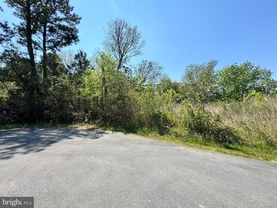 Rare opportunity to own two combined homesites tucked away at - photo 4
