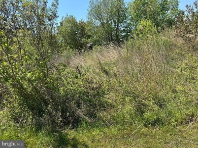 Rare opportunity to own two combined homesites tucked away at - photo 8
