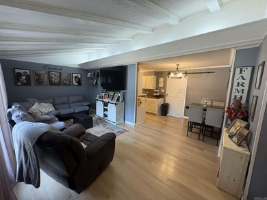 Great updated home in the lovely city of Fairfield Bay.  Greers