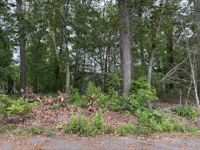 Swan Pond Lot Sale Pending in Dennis Port Massachusetts