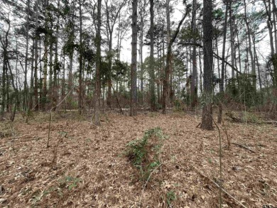 Beautiful wooded lot on a street with only one lot currently - Lake Lot For Sale in Bullard, Texas