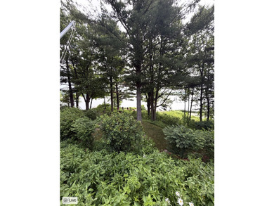 Welcome to your own slice of paradise! This charming 3-bedroom - photo 6