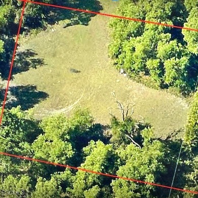 Nearly half an acre of vacant land located in unincorporated - photo 1