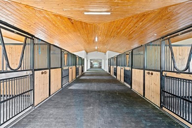 Enjoy the best of both worlds on this exceptional 10+-acre - photo 4