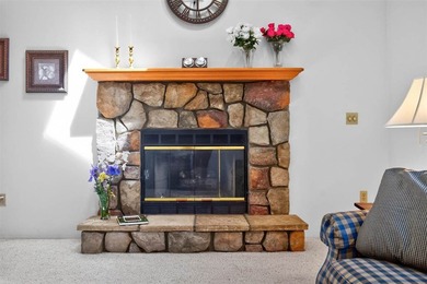 Located just minutes from Lake Michigan public beach, boat - photo 12