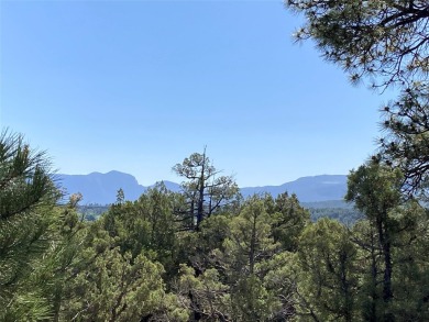 Lake Acreage For Sale in Rutheron, New Mexico